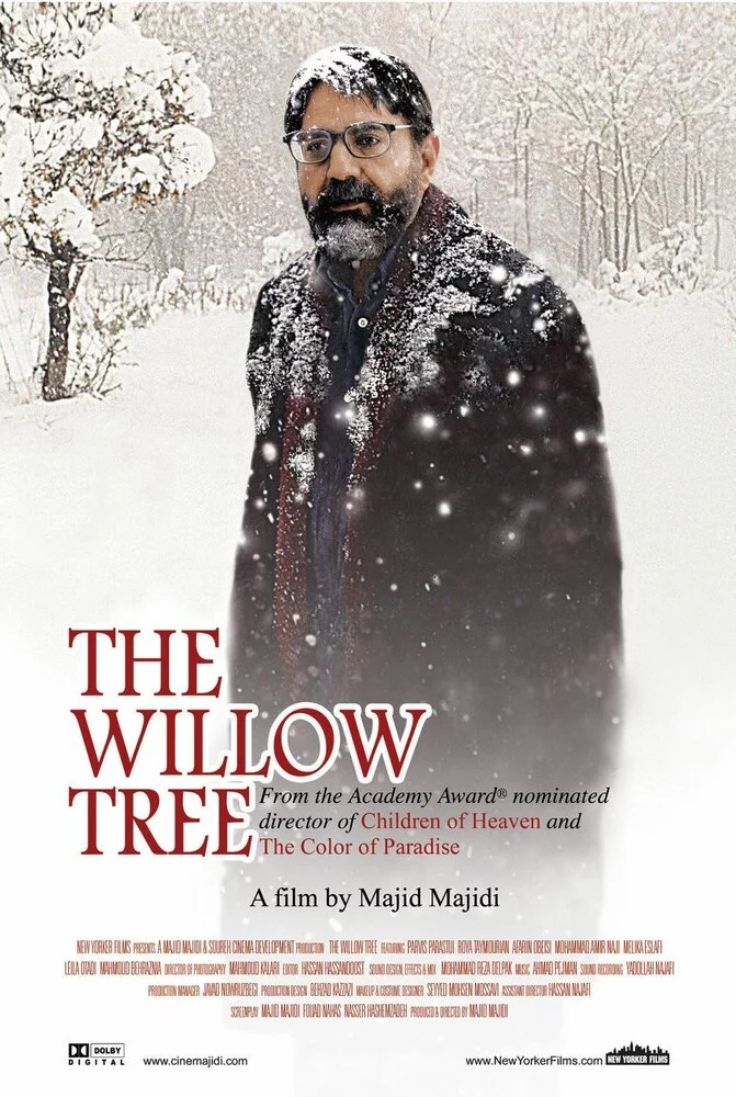 Ивовое дерево (2005) 
