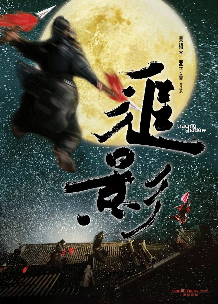В погоне за тенью (2009) 