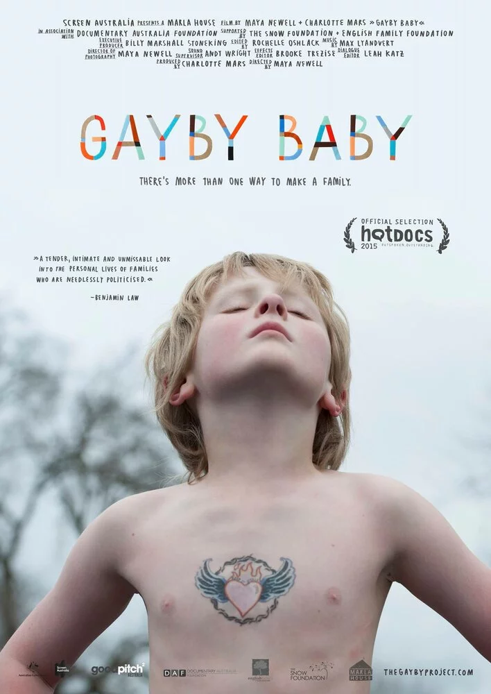 Быть гейби (2015) 